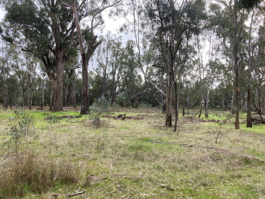 Lot 2 Perricoota Road, Moama, NSW, 2731 - Image 8