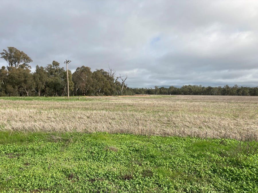 Lot 2 Perricoota Road, Moama, NSW, 2731 - Image 10