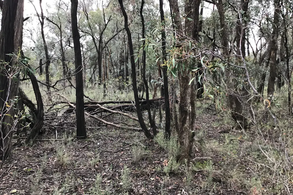 . Dalyenong Road, Stuart Mill, VIC, 3477 - Image 2