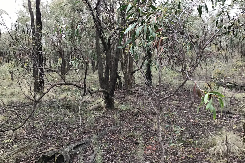. Dalyenong Road, Stuart Mill, VIC, 3477 - Image 3