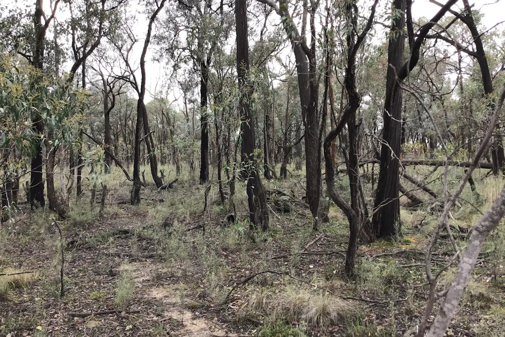 . Dalyenong Road, Stuart Mill, VIC, 3477 - Image 5