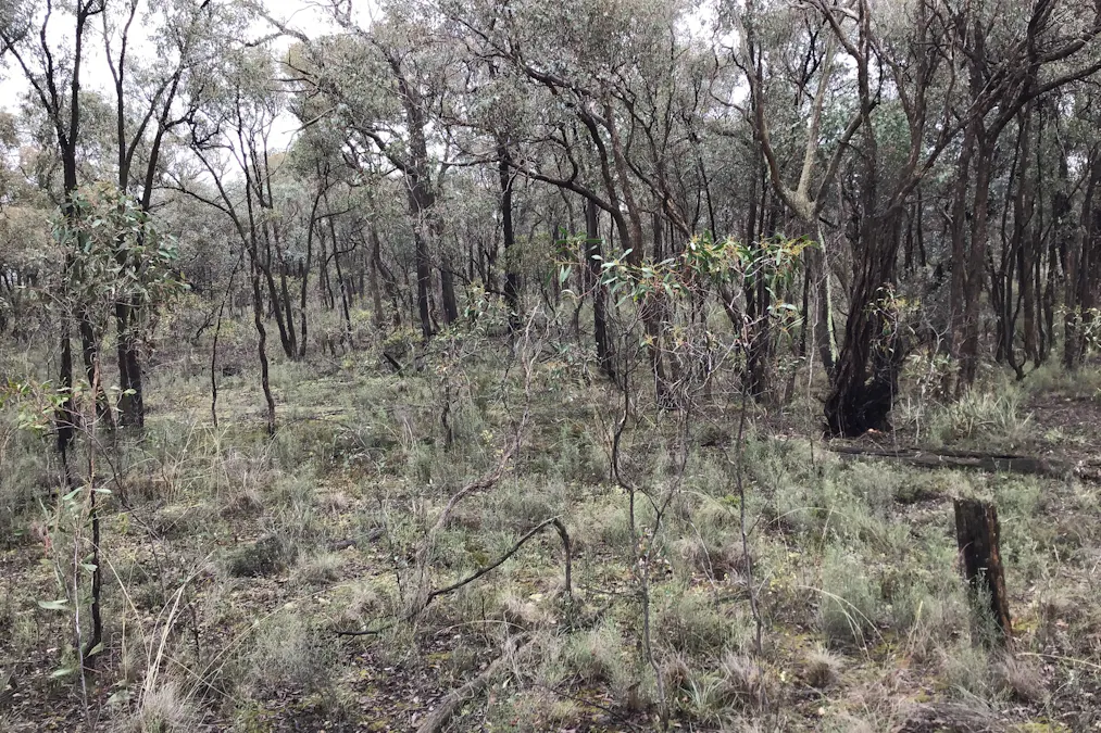 . Dalyenong Road, Stuart Mill, VIC, 3477 - Image 1