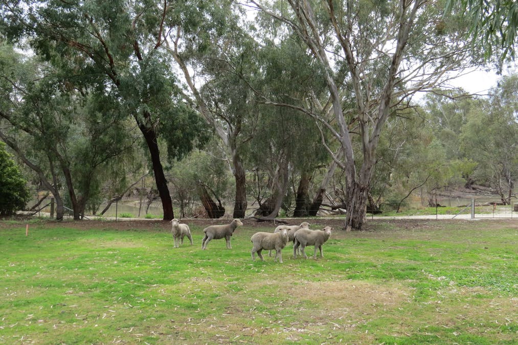27 POWELL Street, Jerilderie, NSW, 2716 - Image 17