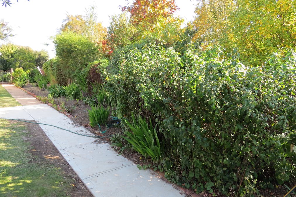 48-50 MAHONGA Street, Jerilderie, NSW, 2716 - Image 20