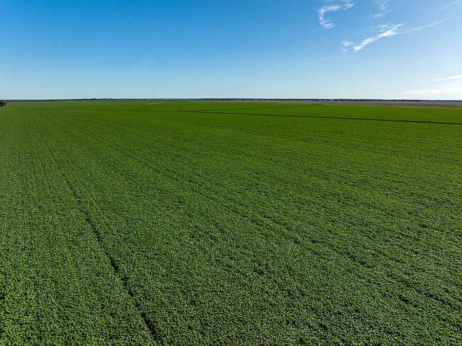 Gunbar, NSW, 2711 - Image 4