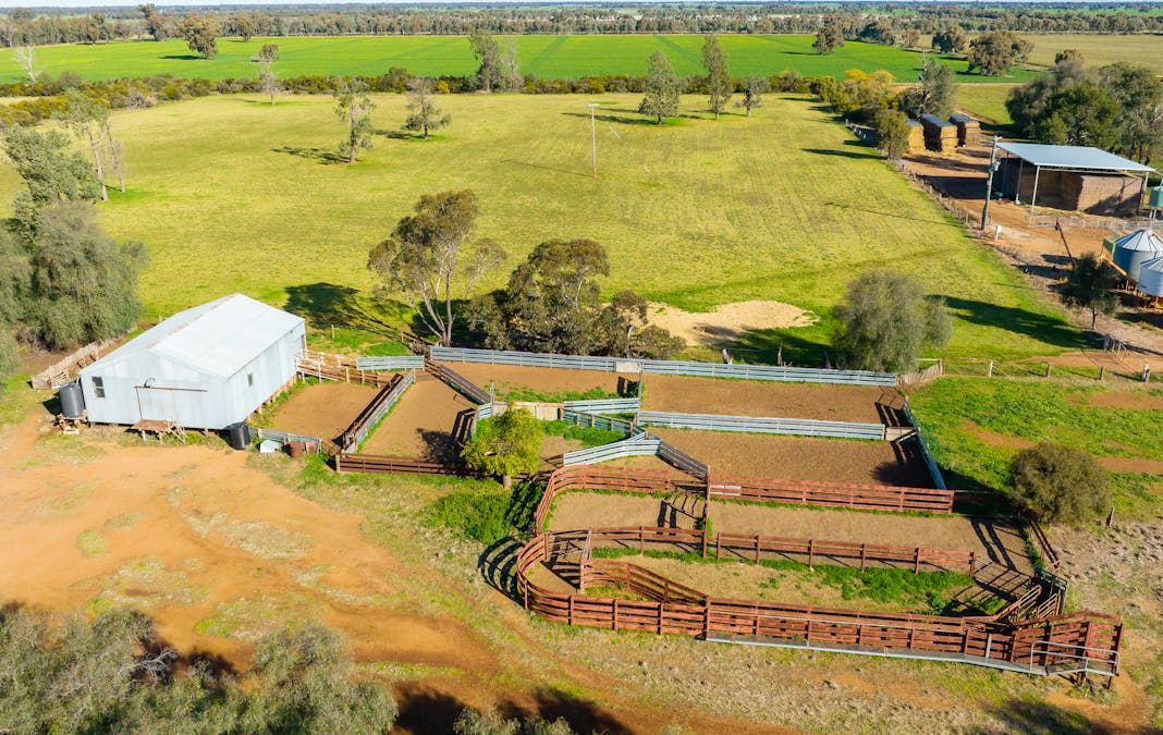 76 Holzigals Road, Finley, NSW, 2713 - Image 3