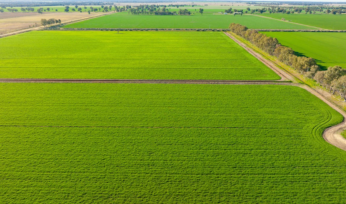76 Holzigals Road, Finley, NSW, 2713 - Image 7