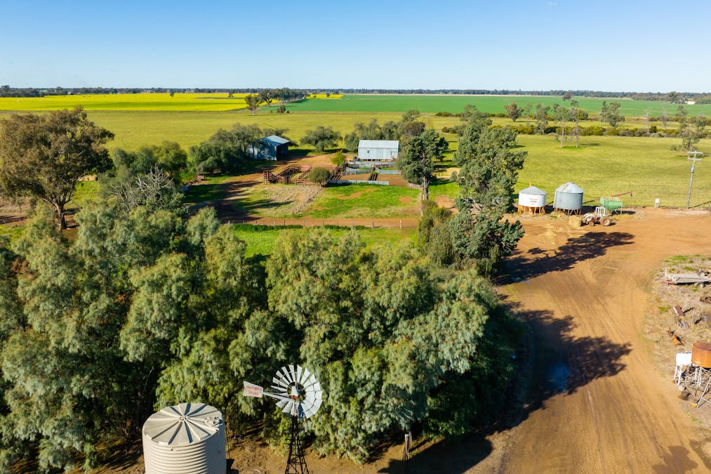76 Holzigals Road, Finley, NSW, 2713 - Image 9