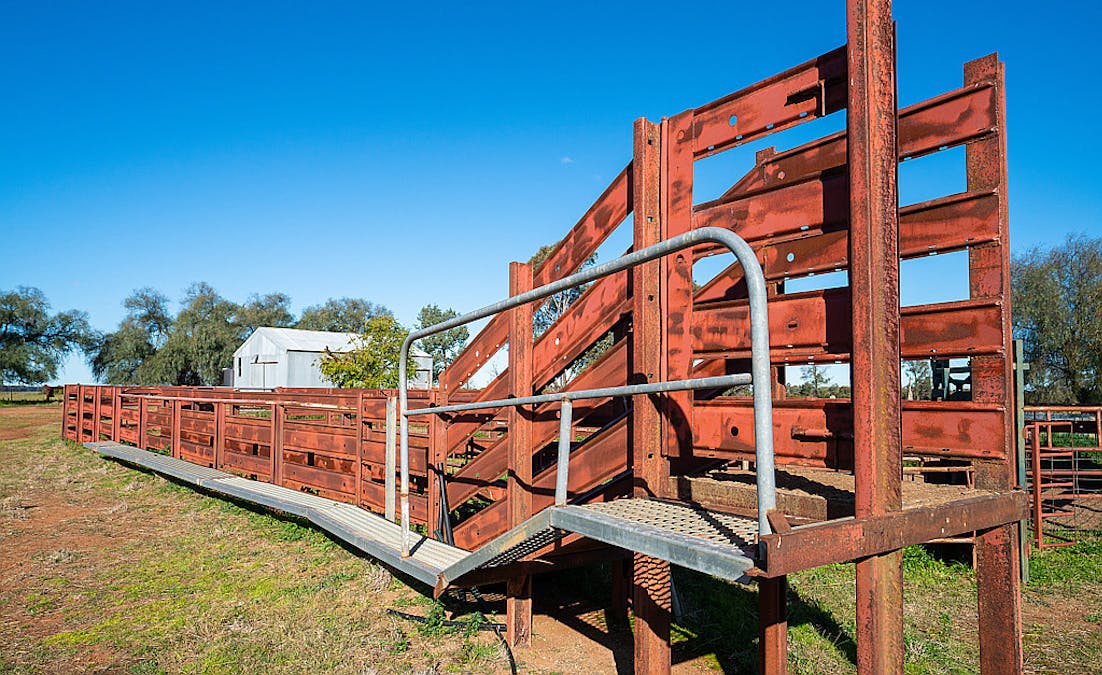 76 Holzigals Road, Finley, NSW, 2713 - Image 17