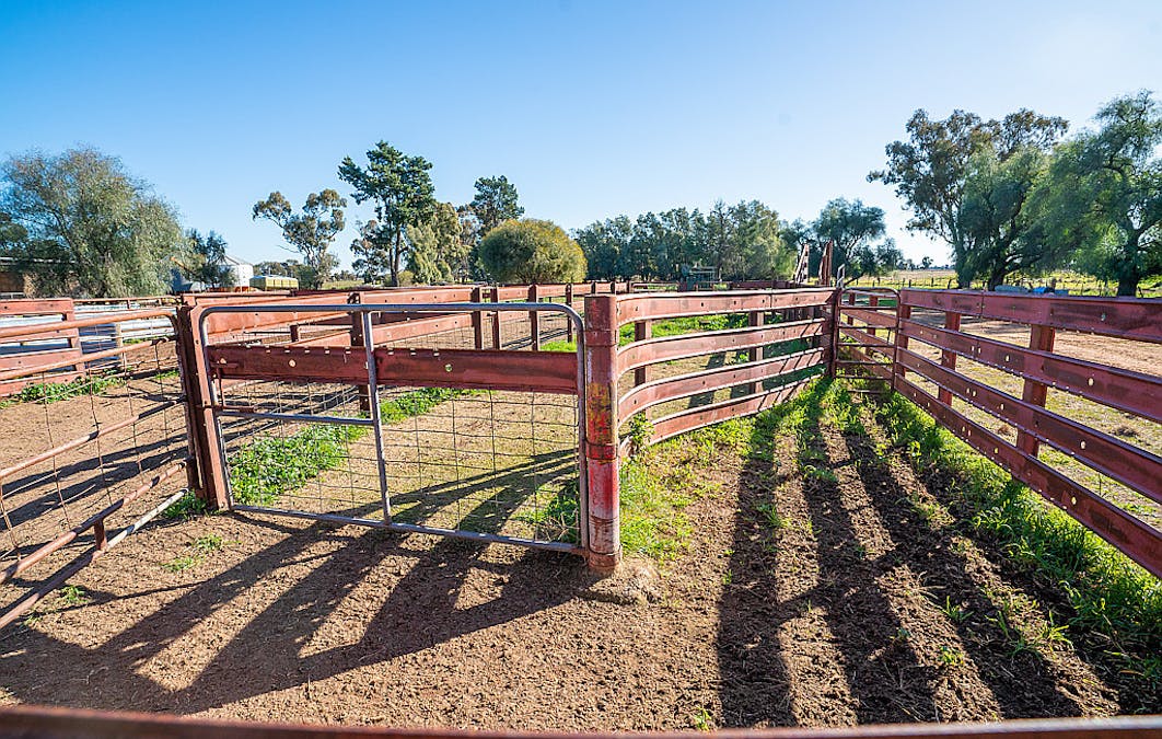 76 Holzigals Road, Finley, NSW, 2713 - Image 18