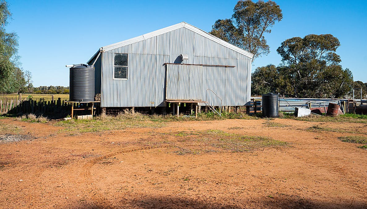 76 Holzigals Road, Finley, NSW, 2713 - Image 23