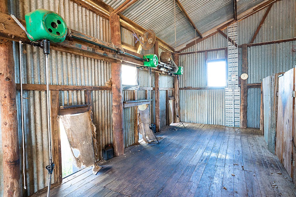 76 Holzigals Road, Finley, NSW, 2713 - Image 24