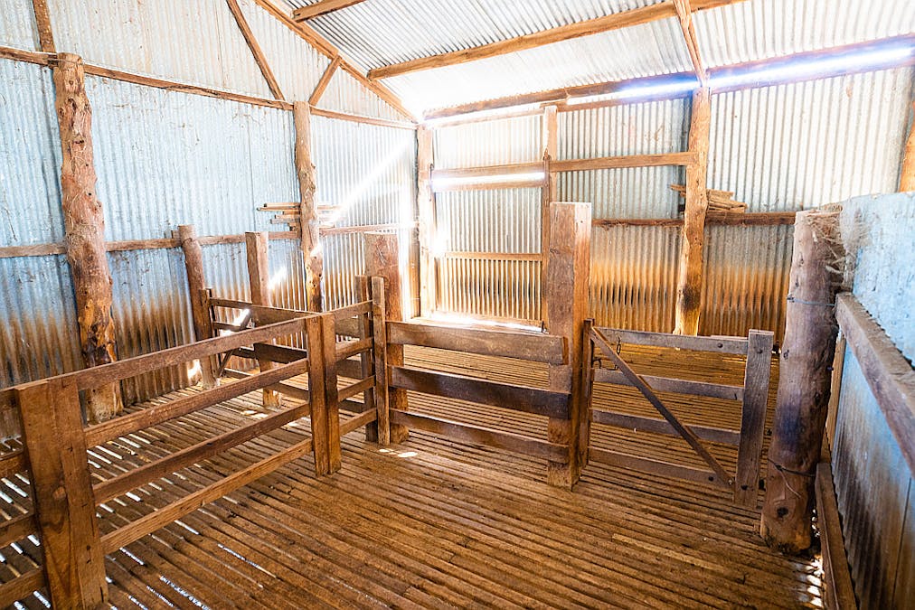 76 Holzigals Road, Finley, NSW, 2713 - Image 25