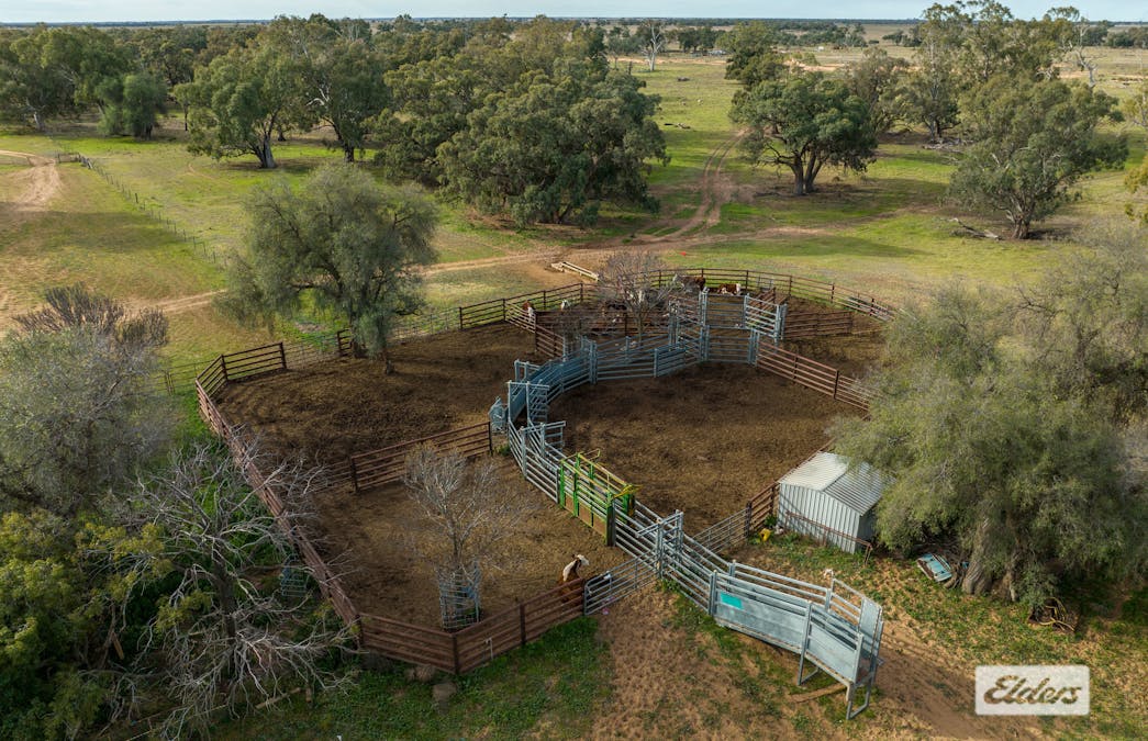 Eriwah & Gum Creek, Townsend Lane, Carrathool, NSW, 2711 - Image 9