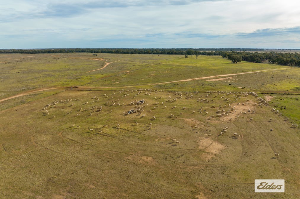 Eriwah & Gum Creek, Townsend Lane, Carrathool, NSW, 2711 - Image 10
