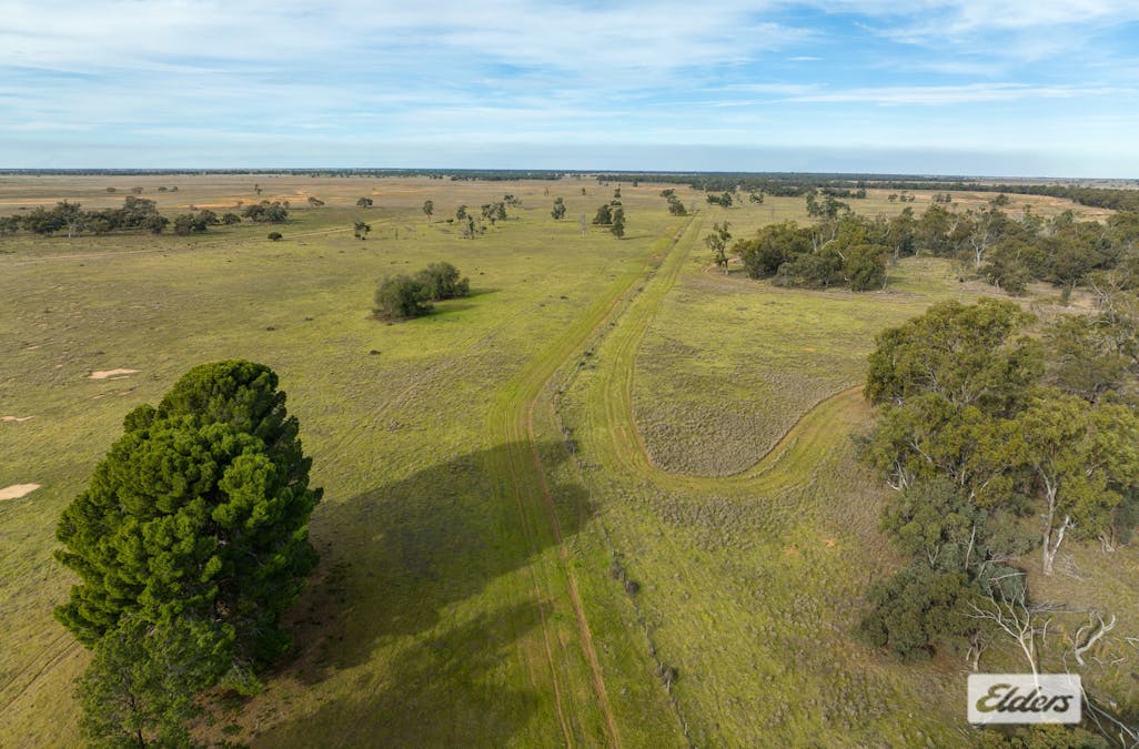 Eriwah & Gum Creek, Townsend Lane, Carrathool, NSW, 2711 - Image 11