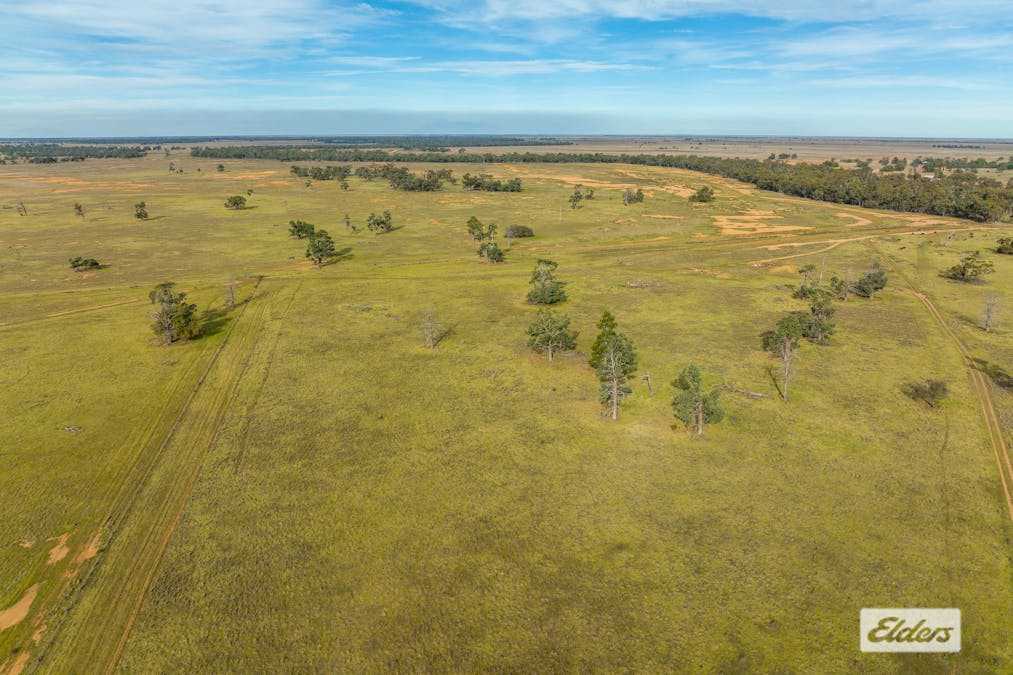 Eriwah & Gum Creek, Townsend Lane, Carrathool, NSW, 2711 - Image 14