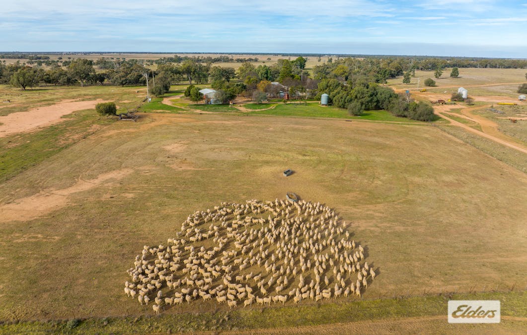 Eriwah & Gum Creek, Townsend Lane, Carrathool, NSW, 2711 - Image 15