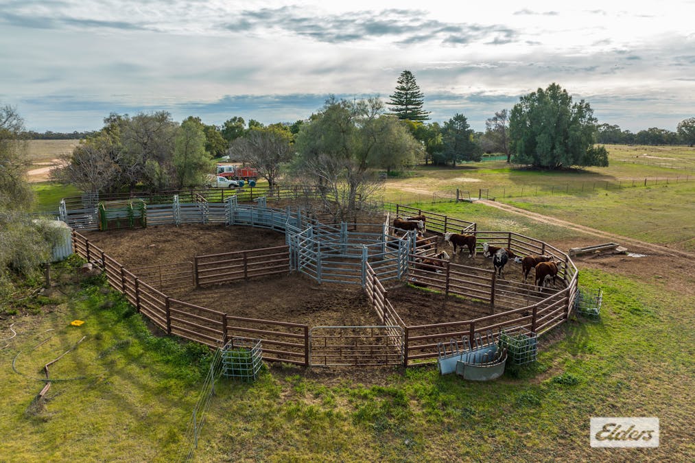 Eriwah & Gum Creek, Townsend Lane, Carrathool, NSW, 2711 - Image 3