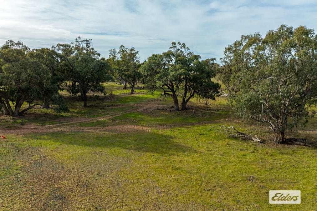 Eriwah & Gum Creek, Townsend Lane, Carrathool, NSW, 2711 - Image 19