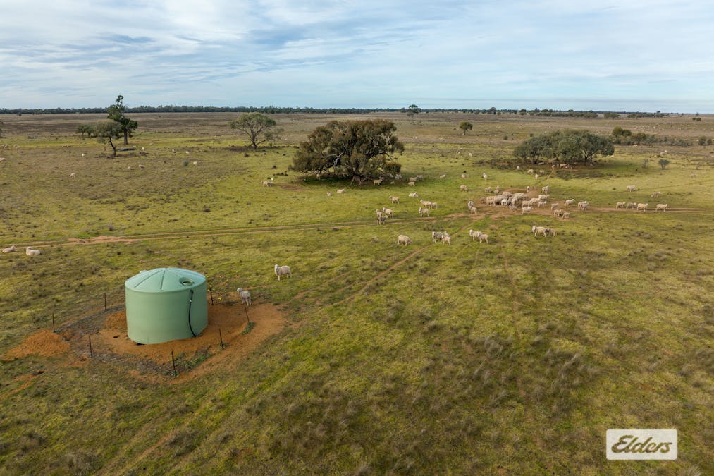 Eriwah & Gum Creek, Townsend Lane, Carrathool, NSW, 2711 - Image 26