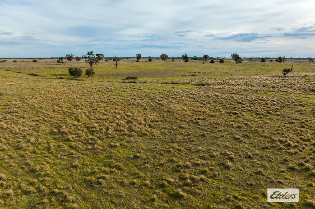 Eriwah & Gum Creek, Townsend Lane, Carrathool, NSW, 2711 - Image 28