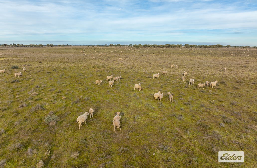 Eriwah & Gum Creek, Townsend Lane, Carrathool, NSW, 2711 - Image 29