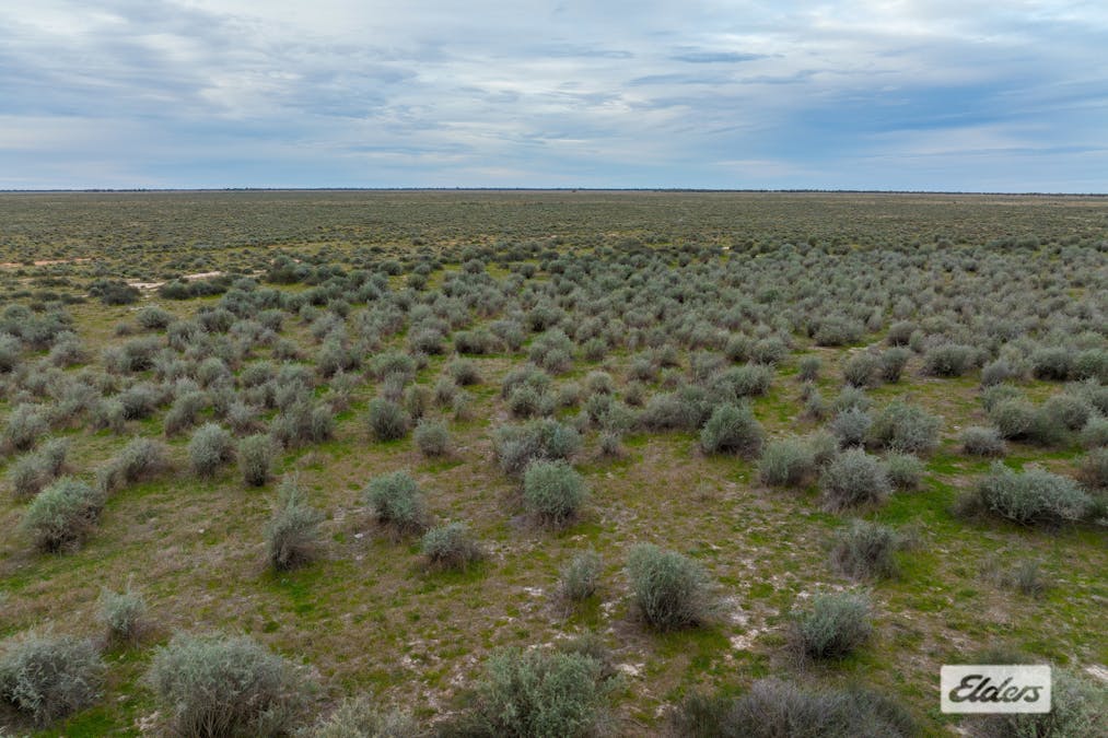 Eriwah & Gum Creek, Townsend Lane, Carrathool, NSW, 2711 - Image 31