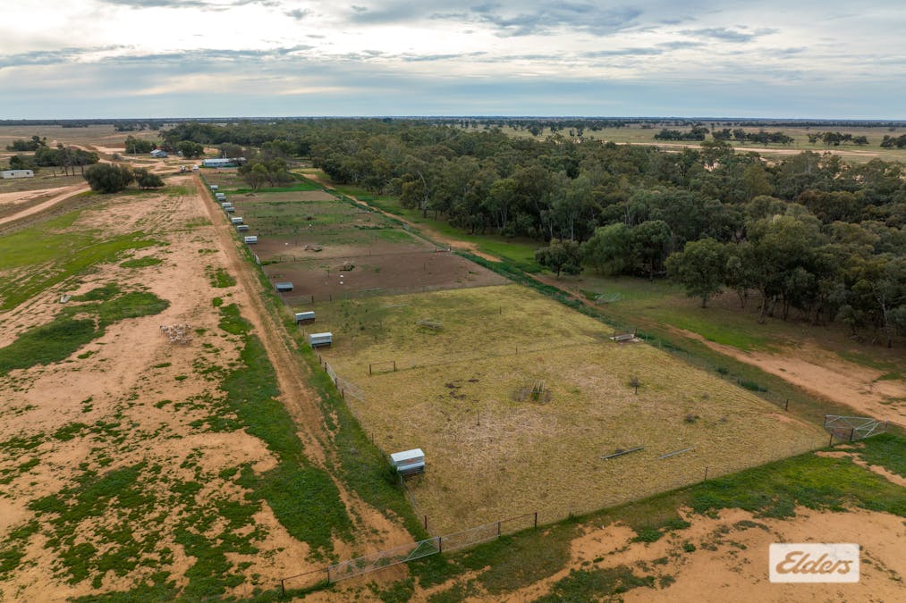 Eriwah & Gum Creek, Townsend Lane, Carrathool, NSW, 2711 - Image 32