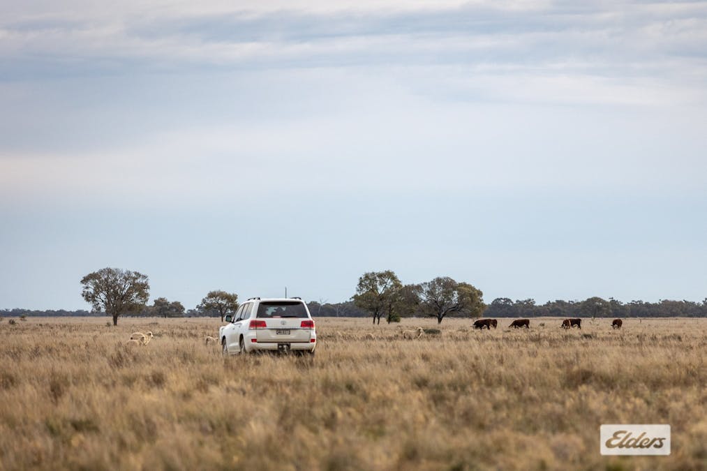 Eriwah & Gum Creek, Townsend Lane, Carrathool, NSW, 2711 - Image 6