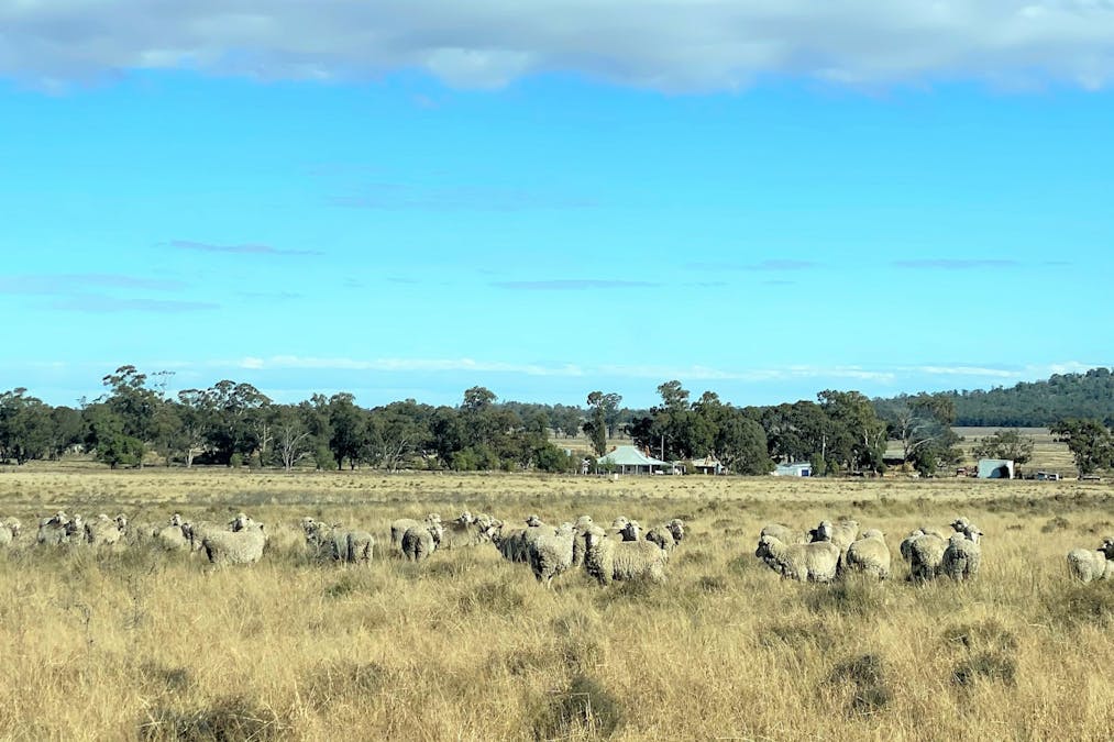 9489 Sunbury The Bogan Way, Tullamore, NSW, 2874 - Image 1
