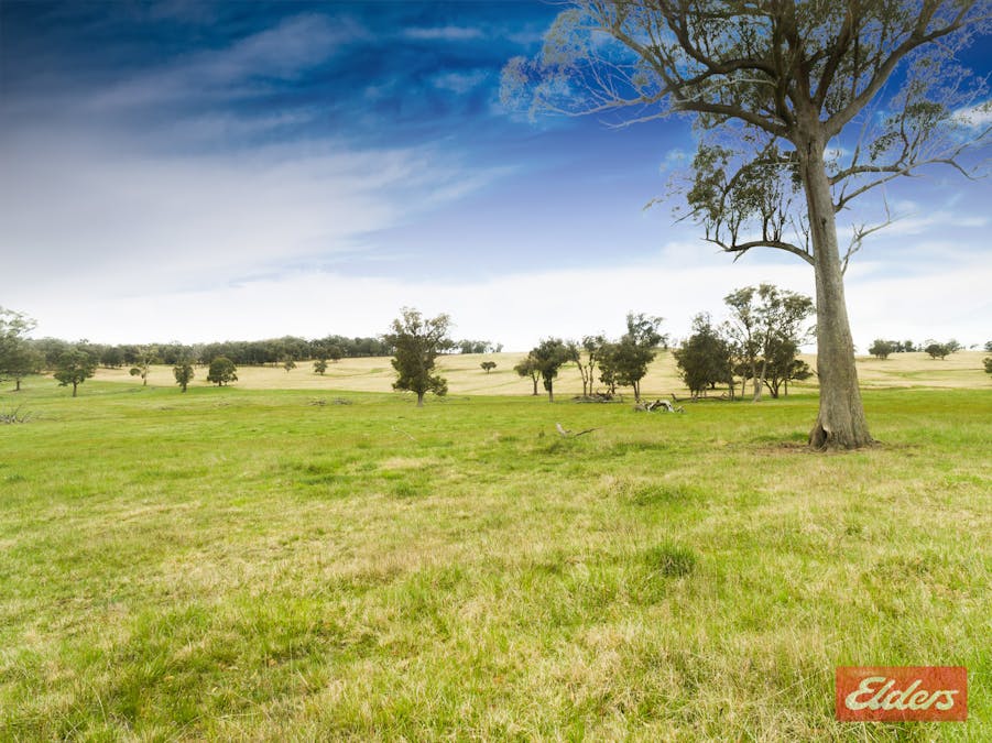 1158 Glen Morrison Road, Walcha, NSW, 2354 - Image 12