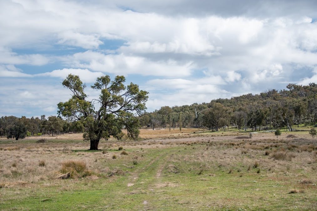 38 Green Valley Road, Bendemeer, NSW, 2355 - Image 3