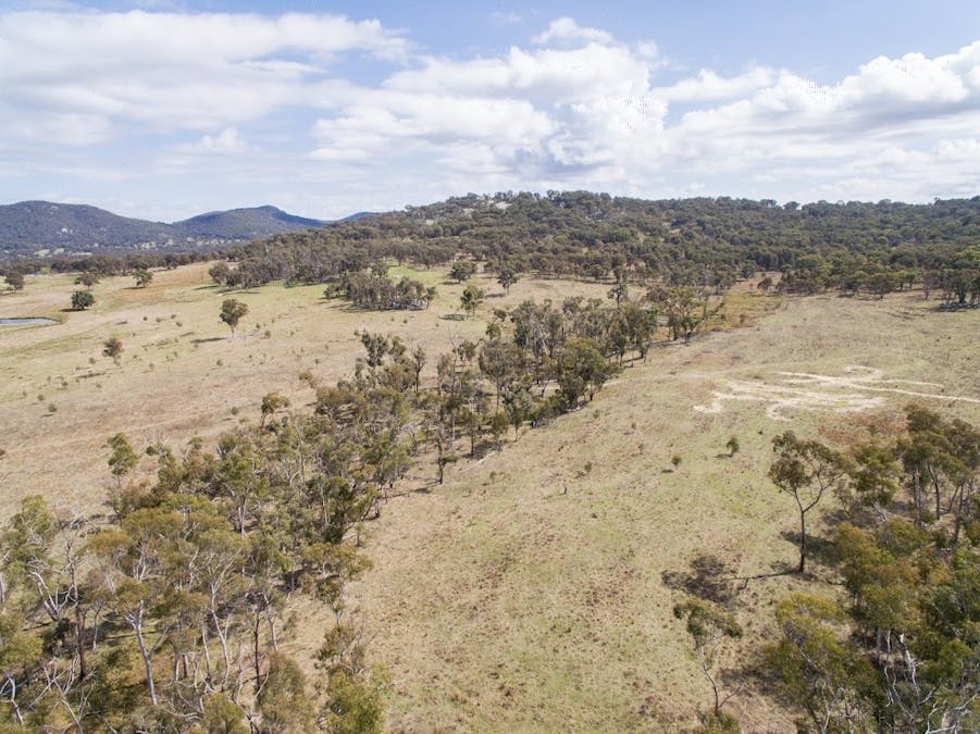 38 Green Valley Road, Bendemeer, NSW, 2355 - Image 9