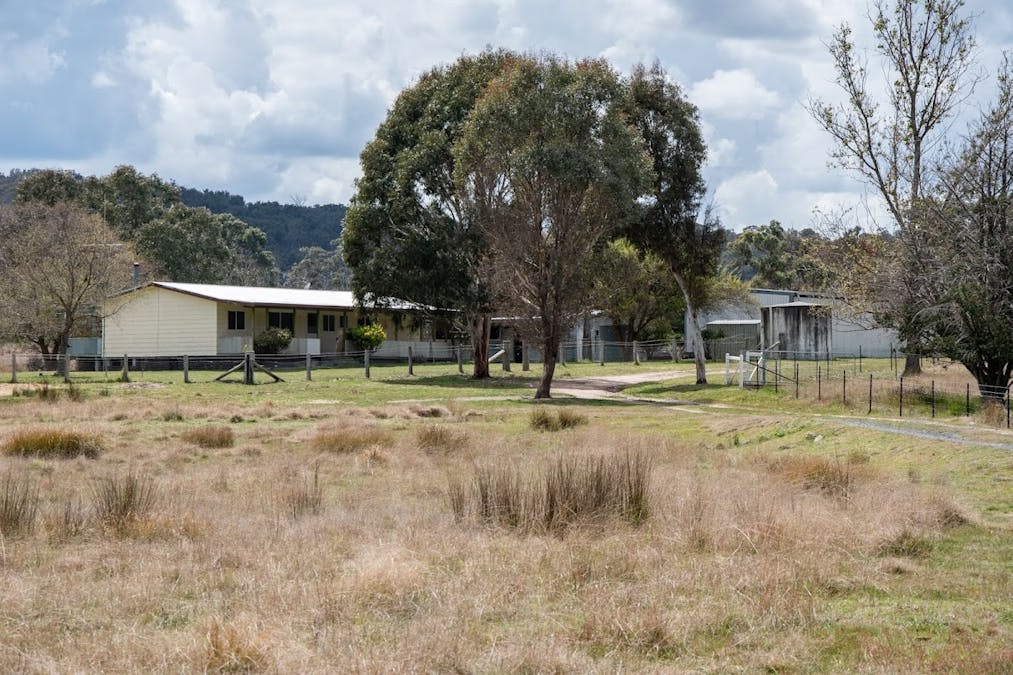 38 Green Valley Road, Bendemeer, NSW, 2355 - Image 10