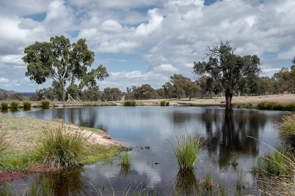 38 Green Valley Road, Bendemeer, NSW, 2355 - Image 1