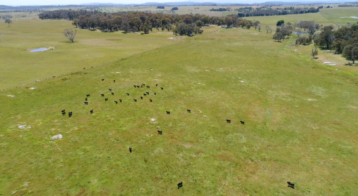 3435 Wards Mistake Road, Guyra, NSW, 2365 - Image 2