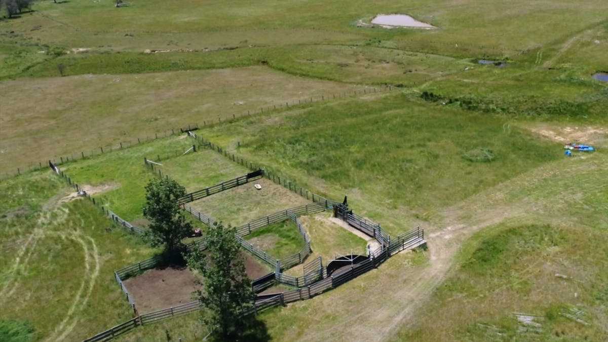 3435 Wards Mistake Road, Guyra, NSW, 2365 - Image 4