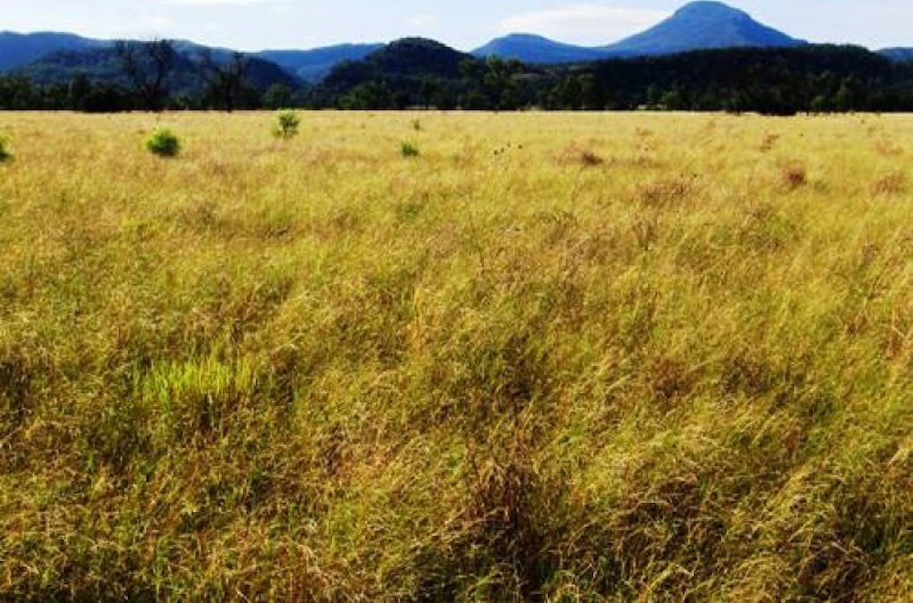 Courada Road, Narrabri, NSW, 2390 - Image 1