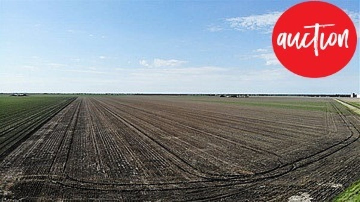 Auction , Macalister, QLD, 4406 - Image 1