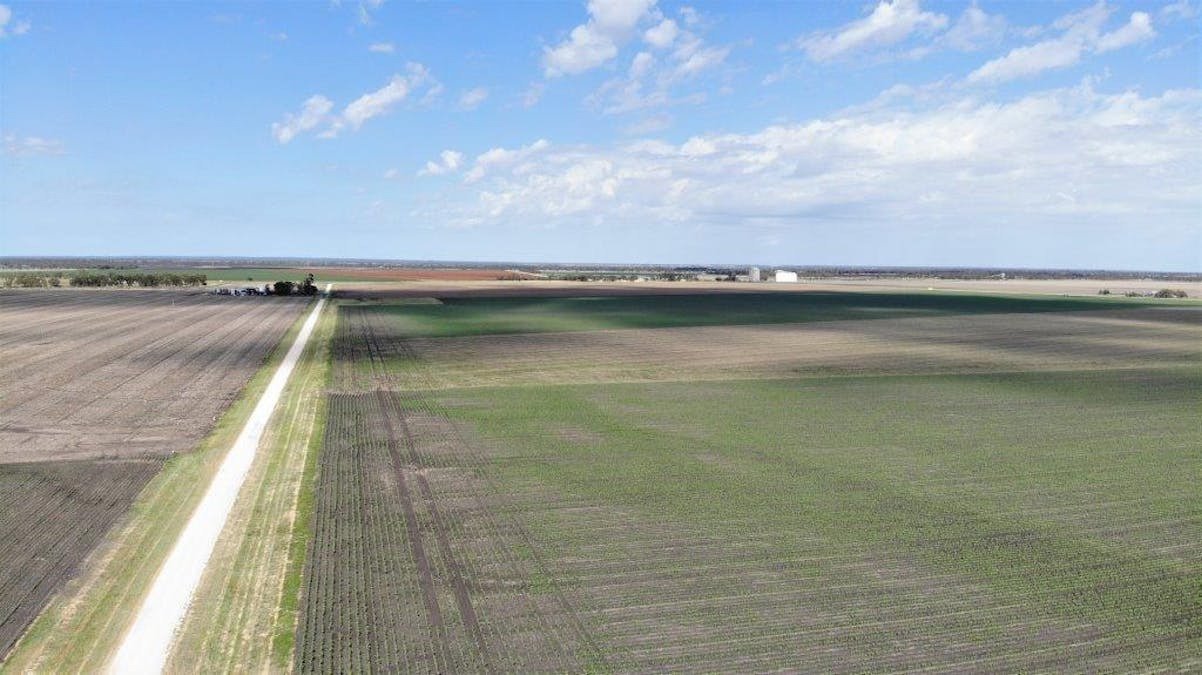 Auction , Macalister, QLD, 4406 - Image 6