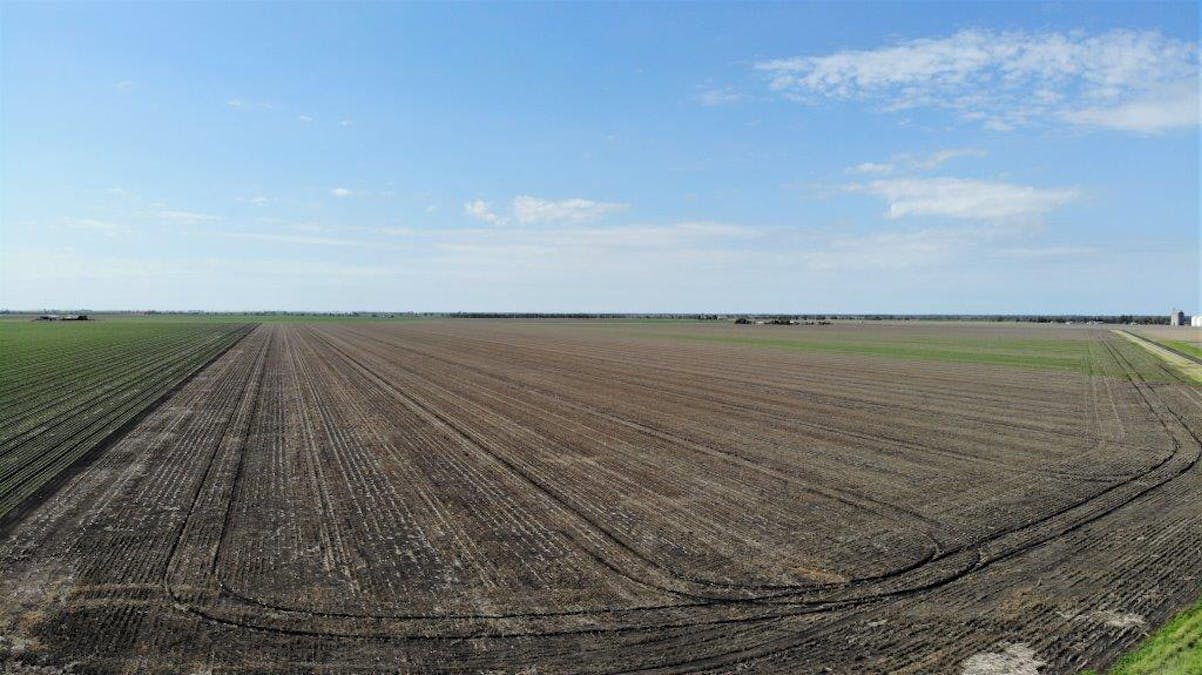 Auction , Macalister, QLD, 4406 - Image 7