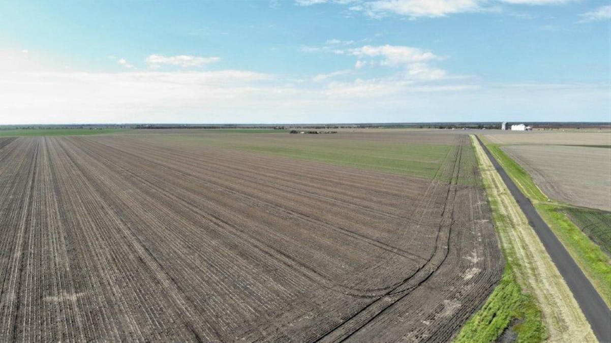 Auction , Macalister, QLD, 4406 - Image 8