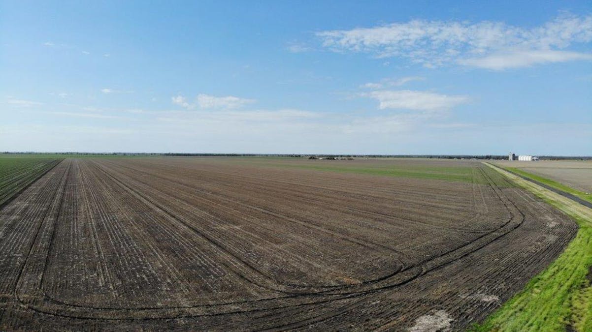 Auction , Macalister, QLD, 4406 - Image 10