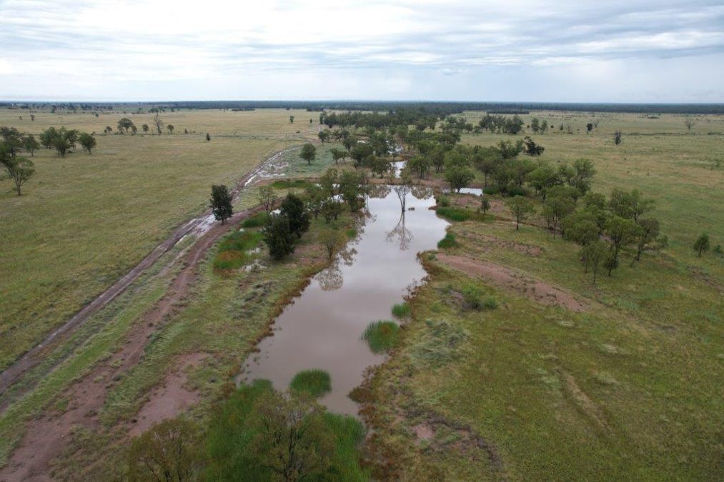 . Cattle Grazing Property , Moonie, QLD, 4406 - Image 4