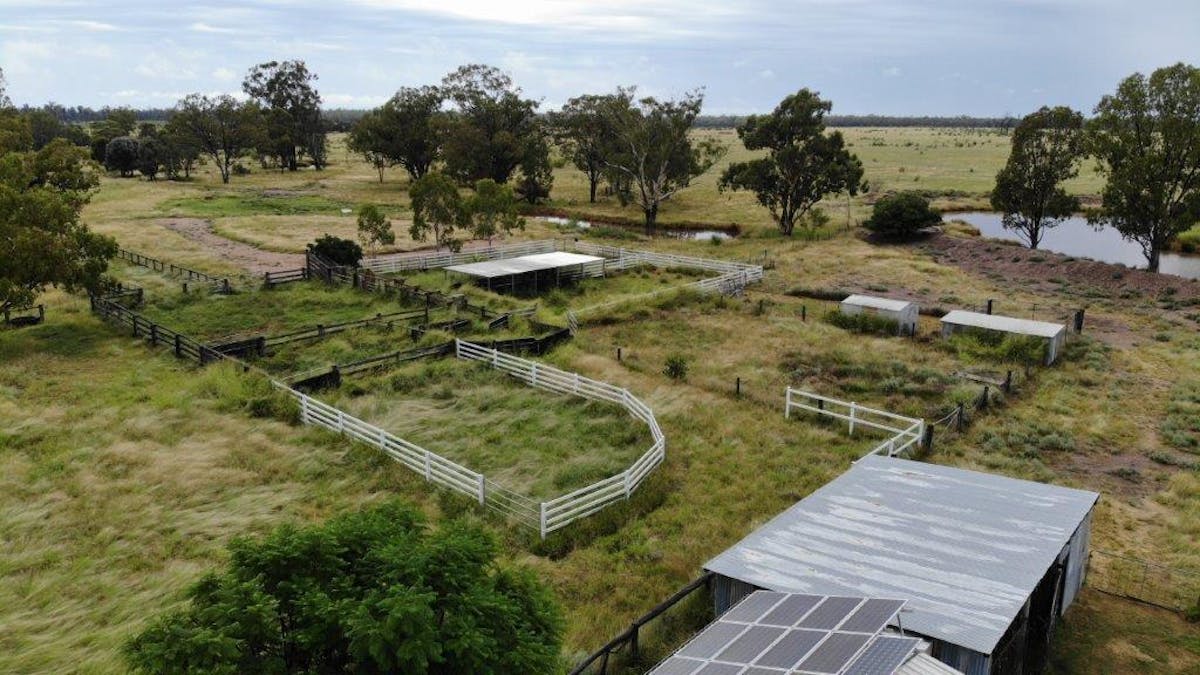 . Cattle Grazing Property , Moonie, QLD, 4406 - Image 6