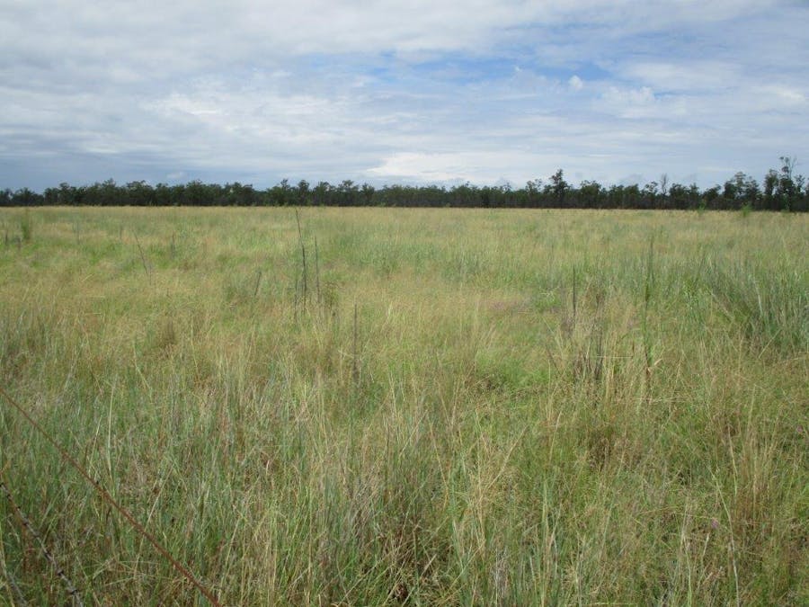 . Cattle Grazing Property , Moonie, QLD, 4406 - Image 8