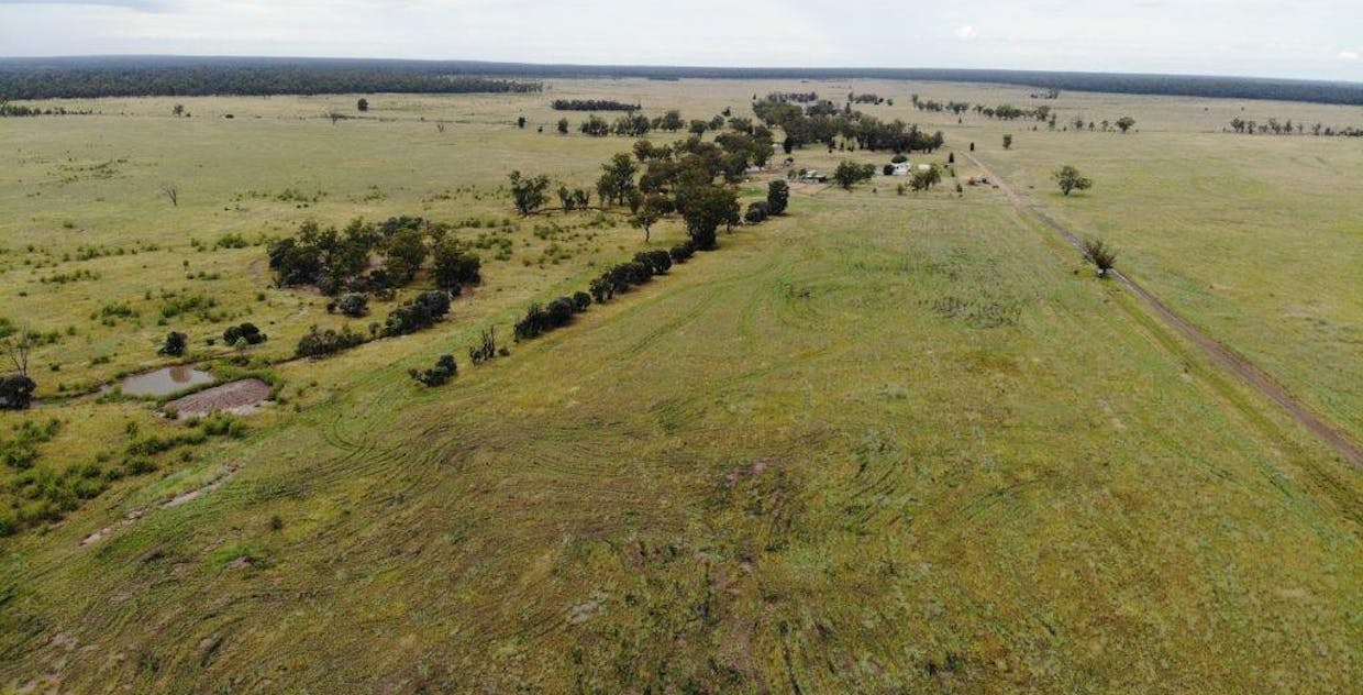 . Cattle Grazing Property , Moonie, QLD, 4406 - Image 11