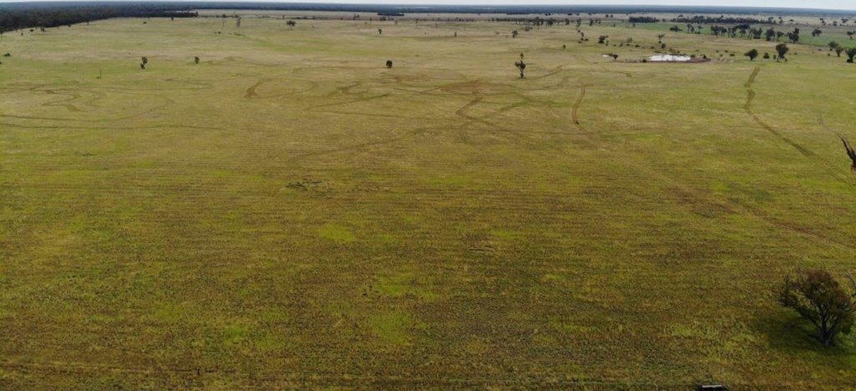 . Cattle Grazing Property , Moonie, QLD, 4406 - Image 13
