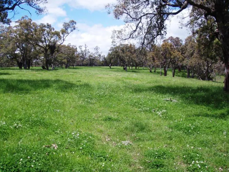 - Kings Plains Road, Kings Plains, NSW, 2799 - Image 11